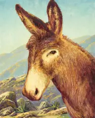 Burro by Paul Grimm, oil on canvasboard, sold Dec 2021