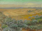 Theodore Wores, The Wildflowers of the Sand Dunes, San Francisco, oil on canvas