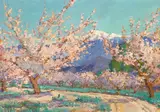 Anna Althea Hills, Springtime, Almond Trees, Banning, California, 1916, oil on board