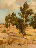 Charles A. Fries, Eucalyptus Grove - Balboa Park before the Exposition