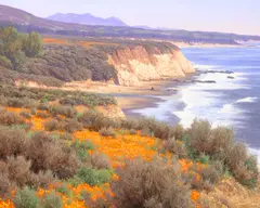Dennis M. Doheny, South Coast Splendor, oil on canvas