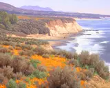Dennis M. Doheny, South Coast Splendor