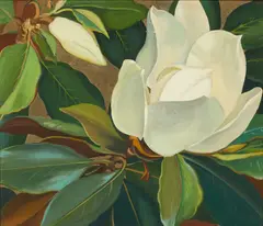 Magnolia by Jessie Arms Botke, oil and gold leaf on canvas affixed to board, sold Aug 2021