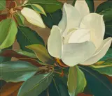 Jessie Arms Botke, Magnolia