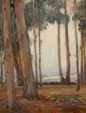 Peter Nielsen, Eucalyptus Grove, oil on canvas affixed to board