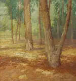 Maurice Braun, In the Eucalyptus Grove