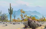 Gunnar Widforss, Cactus and Mountains