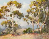 Frank Montague Moore, Eucalyptus, California