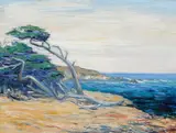 Lillie May Nicholson, Fallen Cypress at Blue Inlet, oil on canvas