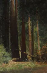 Charles Dorman Robinson, In the Bohemian Grove, 1903, oi on canvas