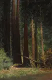 Charles Dorman Robinson, In the Bohemian Grove
