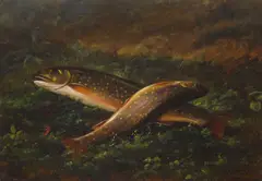 Wakeman Holberton, Two Trout, 1891, oil on board