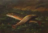 Wakeman Holberton, Two Trout, 1891, oil on board