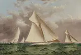 James Edward Buttersworth, Trials for Contenders for 1893 America's Cup Defense (Vigilant, Colonia, Jubilee and Pilgrim), oil on board laid down on composite board