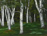 Luigi Lucioni, The Birches, 1960-61, oil on canvas