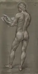 Paul Cadmus, Male Nude (NM 118), conté crayon on olive paper