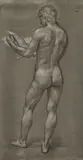Paul Cadmus, Male Nude (NM 118), conté crayon on olive paper
