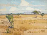 Maurice Logan, The Serenegeti, oil on canvas