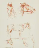 Studies of a Horse by Olaf Wieghorst, felt tip pen on paper, offered Dec 2020