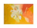 John Grillo, Eclipse, oil an canvas