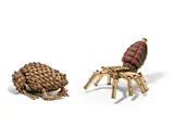 Federico Uribe, Tarantula & Bullet Frog (two works), 2012