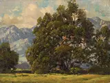 Paul Grimm, Landscapes with Sycamores, Eucalyptus, Pines, and Oaks (a group of four)