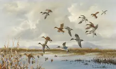 Douglas Van Howd, Ducks in flight over a marsh, oil on Masonite
