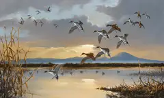 Douglas Van Howd, Ducks in Flight at Sunset, oil on Masonite