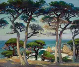 Mary DeNeale Morgan, The Cypress of Point Lobos