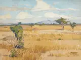 Maurice Logan, The Serenegeti, oil on canvas