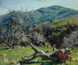Emil Kosa Jr., From Ojai