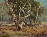 Jack Wilkinson Smith, Sycamores near the Arroyo