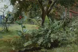 D. Howard Hitchcock, Hilo Garden