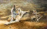 Bonnie Marris, Mother Wolf and Cubs