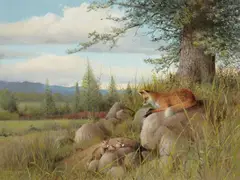 Red Fox and Kits by Owen J. Gromme, 1987, oil on canvas, offered Mar 2020