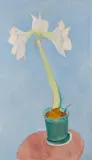 Sally Michel Avery, White Amaryllis