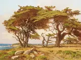 Albert Thomas Derome, Monterey Cypresses, Monterey Point