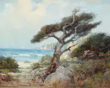 Jack Wilkinson Smith, Cypress Trees, Point Lobos, oil on canvas