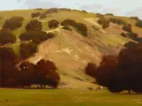 Brian Blood, Cattle Trail at Toro Park, 2003, oil on canvas