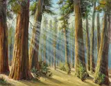 Redwoods by Paul Grimm, 1971, oil on canvas, offered Apr 2019