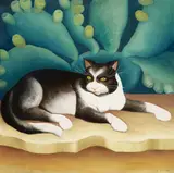 Henrietta Shore, My Cat, circa 1930-1935, oil on canvas