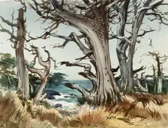 Jade Fon, Monterey Coast, watecolor on paper