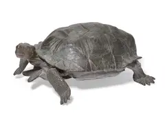 Mark Rossi, Desert Tortoise, bronze with black green patina