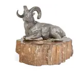 Douglas Van Howd, Dall Sheep Ram