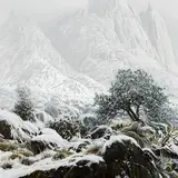 Wilson Hurley, Snow at La Cueva, 1996, oil on canvas
