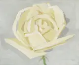 Alex Katz, A Rose