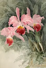 Orchids by Paul de Longpré, watercolor and graphite on paperboard, sold Nov 2016