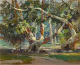 Jack Wilkinson Smith, Scattered sunlight in the trees, oil on canvas board