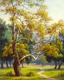 Paul Grimm, Sycamore Symphony