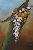 Persis Goodale Thurston Taylor, Shell Ginger, Hawaii, 1884, oil on tin